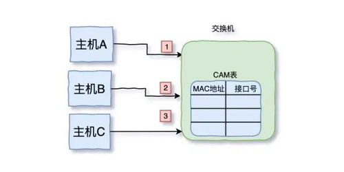 三天兩夜肝完這篇萬字長文 面試再也不怕被問到TCP/IP了
